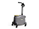 Sanitizers & Disinfectors